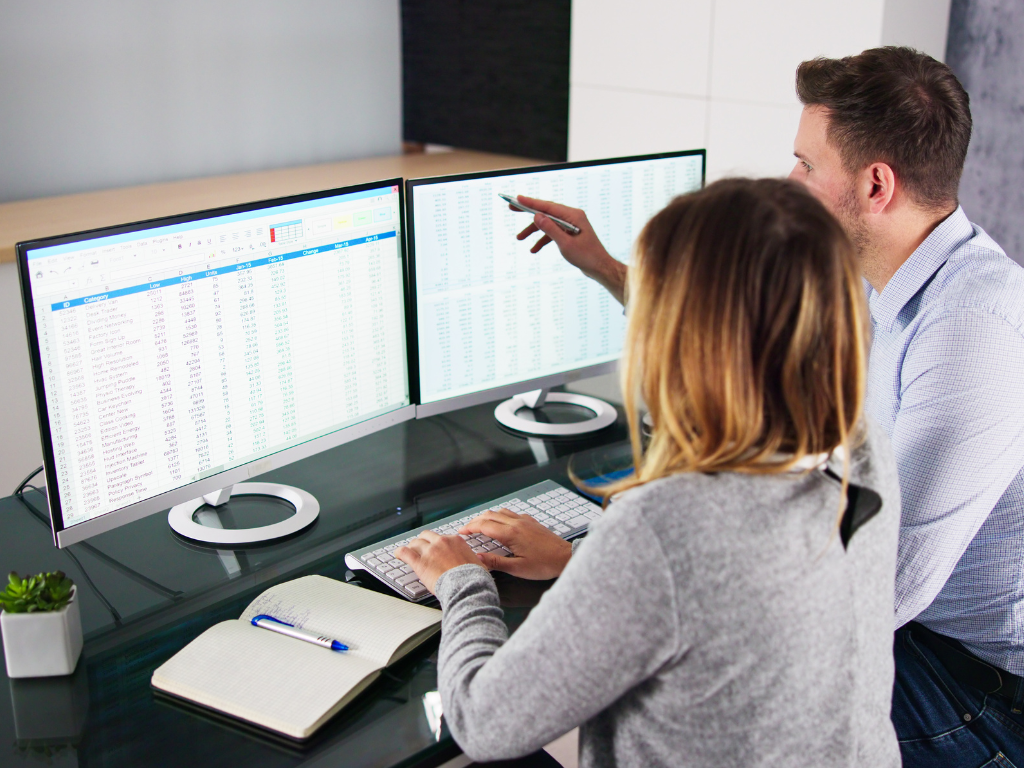 Resource planning software implementation - The 20% that gets rushed