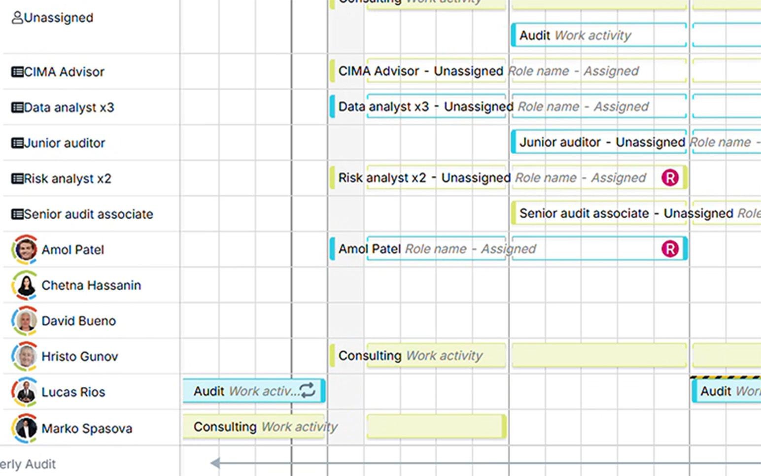 Example resource management software for professional services