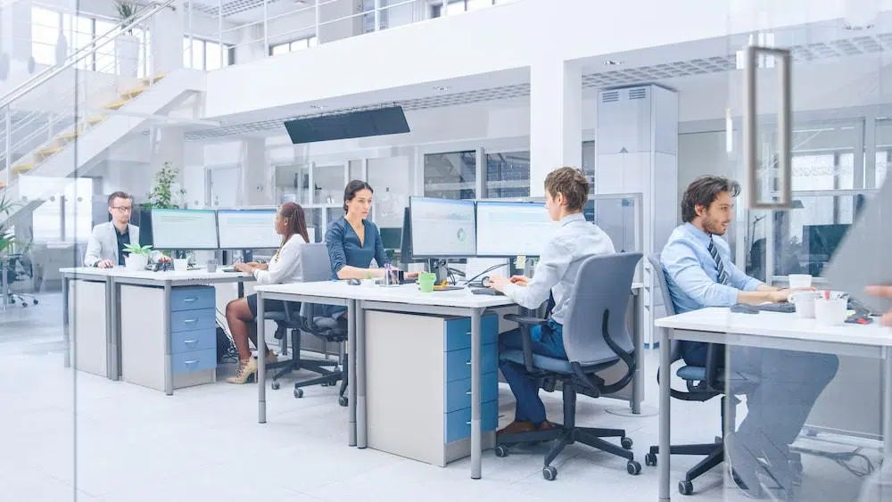 people-in-clean-office