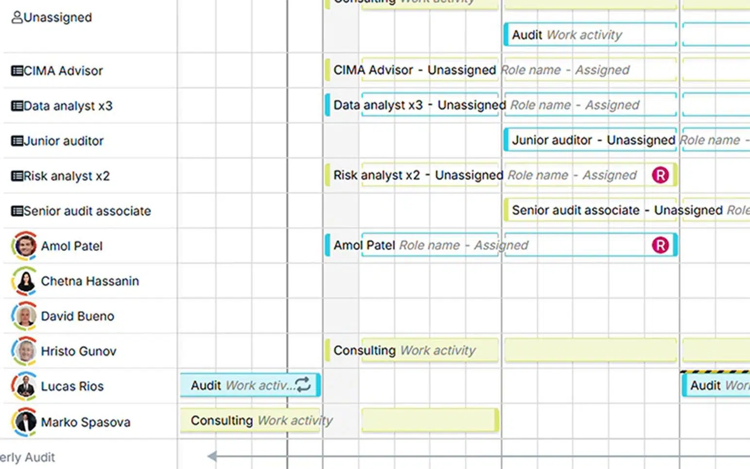 Example resource management software for professional services